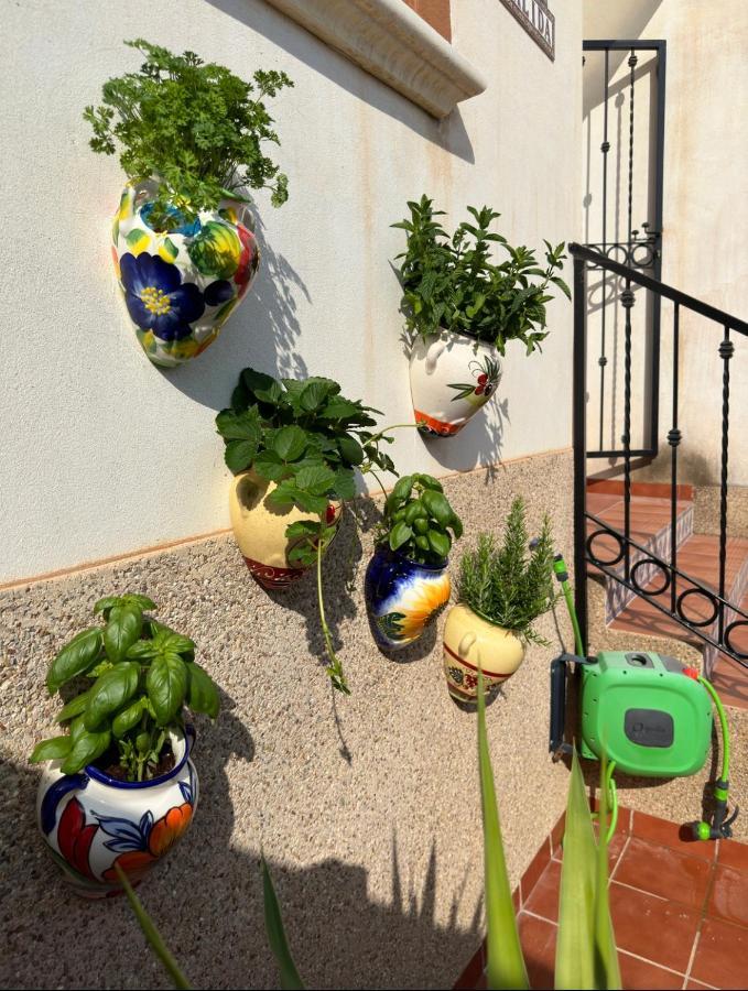 شقة 021 Casa Calida - Orihuela Costa Punta Prima  المظهر الخارجي الصورة